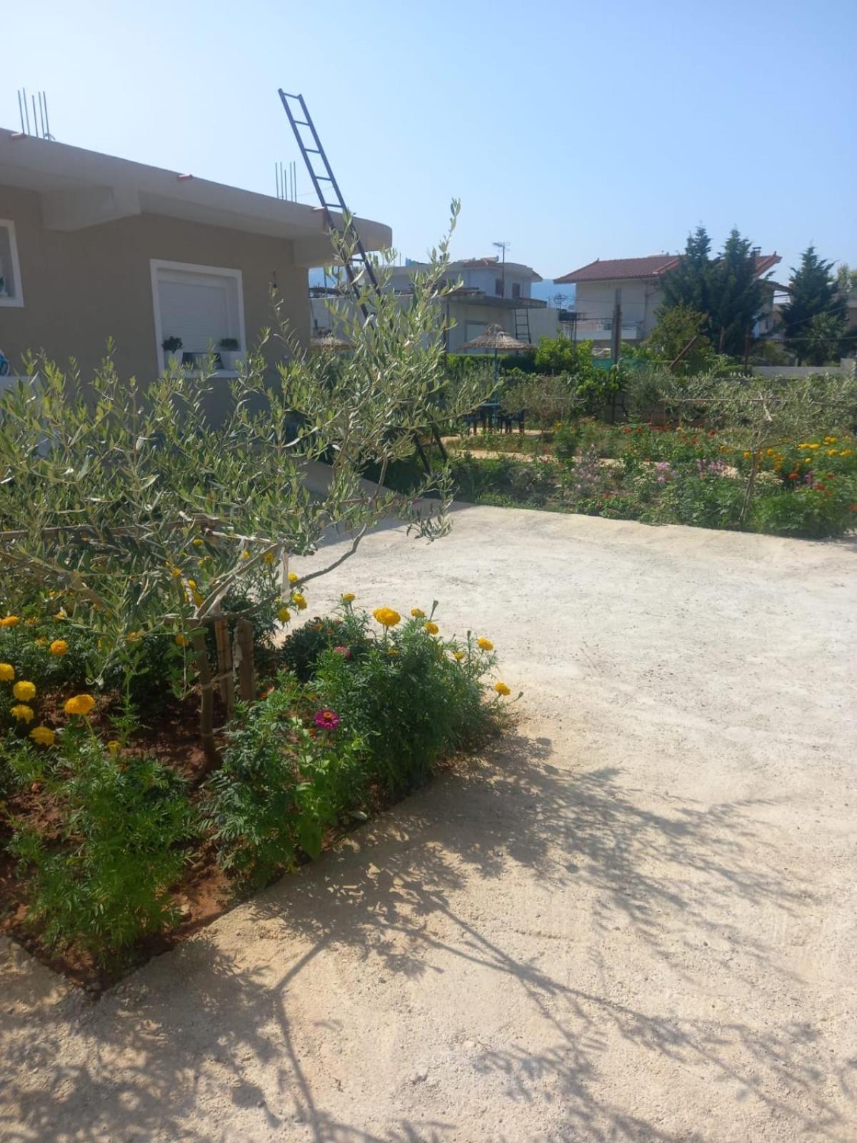 Hotel Rey Garden 2 Vlorë Exterior foto